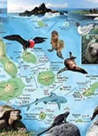 Natural Wonders of the Galápagos - Map 